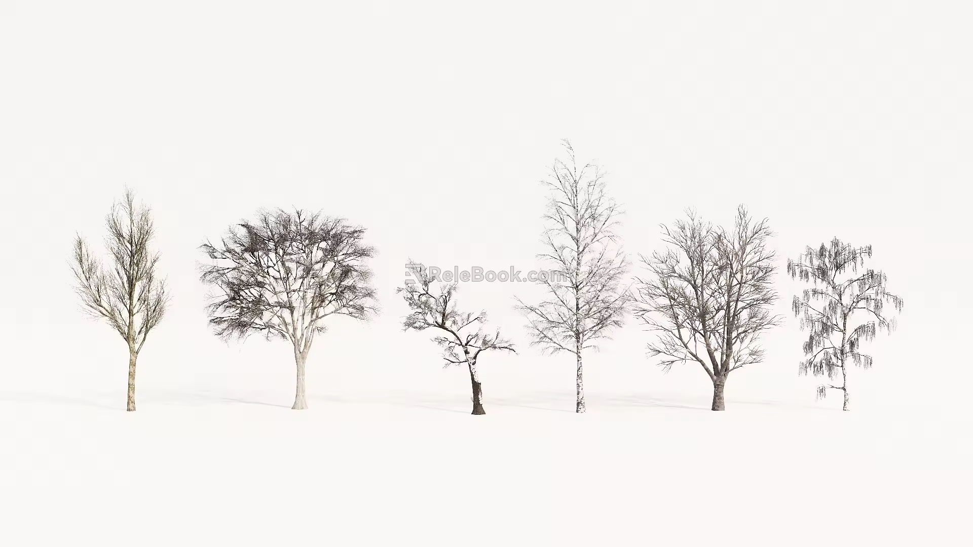 Modern Tree Plant Combination Garden Plant Dead Tree 3d model