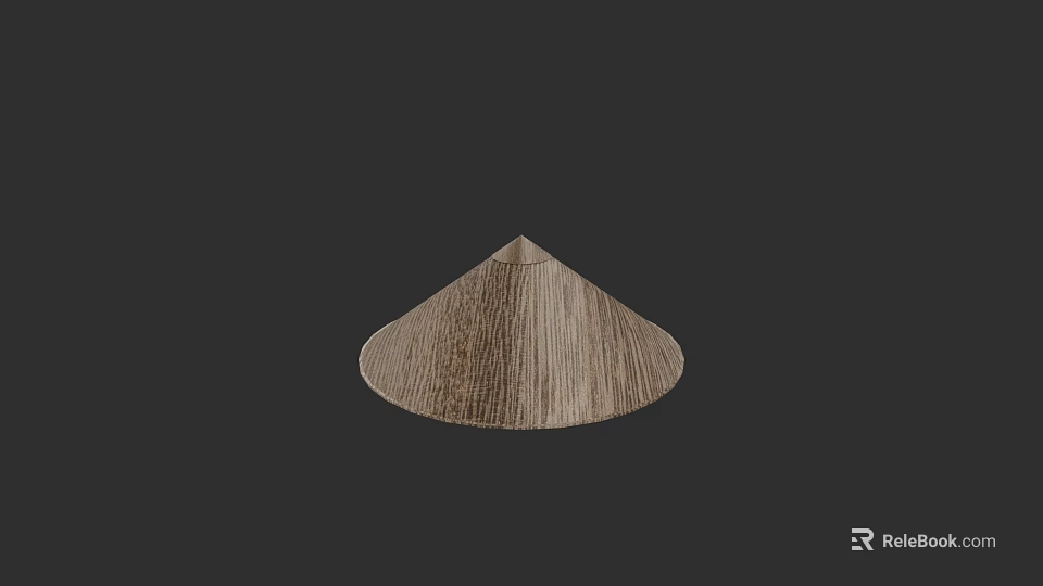 Elegant Conical Hat Featuring Light Brown Wooden Texture Against Dark Background 3d model 