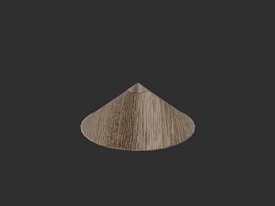Elegant Conical Hat Featuring Light Brown Wooden Texture Against Dark Background 3d model