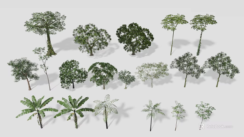 Different Types of Arbor Trees with Various Shapes and Sizes for Garden Design 3d model 