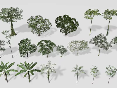 Different Types of Arbor Trees with Various Shapes and Sizes for Garden Design 3d model