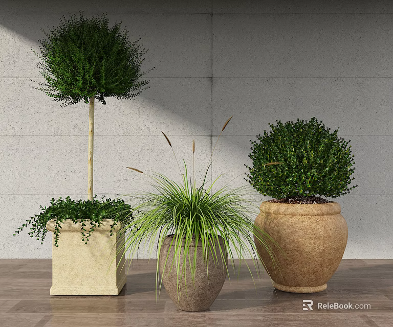 Bonsai Potted Plants with Various Pot Styles and Lush Green Foliage for Indoor Decor 3d model 