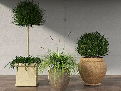 Bonsai Potted Plants with Various Pot Styles and Lush Green Foliage for Indoor Decor 3d model