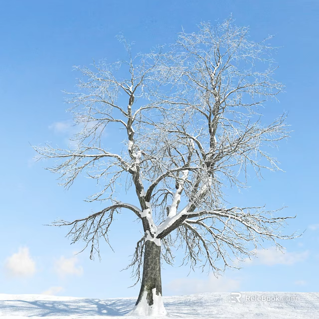 Leafless Arbor With Snow Covered Branches Against Blue Sky And White Clouds 3d model 