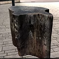 Arbor Tree Stump Featuring Natural Wooden Surface Texture and Rugged Brown Look
