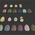 Assorted Colorful Seeds With Different Shapes Arranged On Black Background