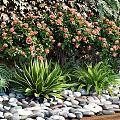 Lush Living Plant Wall Design With Various Green Plants Flowers Pebbles And Wooden Base