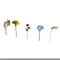 Colorful Flowers and Green Plants in Different Colors Arranged on White Background with Reflection