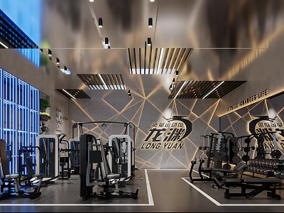 Modern Gym Interior With Long Yuan Brand Fitness Equipment Spacious Area And Professional Lighting 3d model