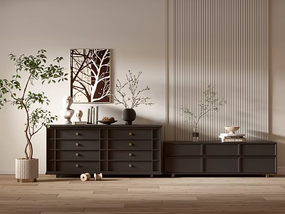 Modern Entryway Cabinet And Side Cabinet With Decorative Plants Vase Books And Textured Wall 3d model