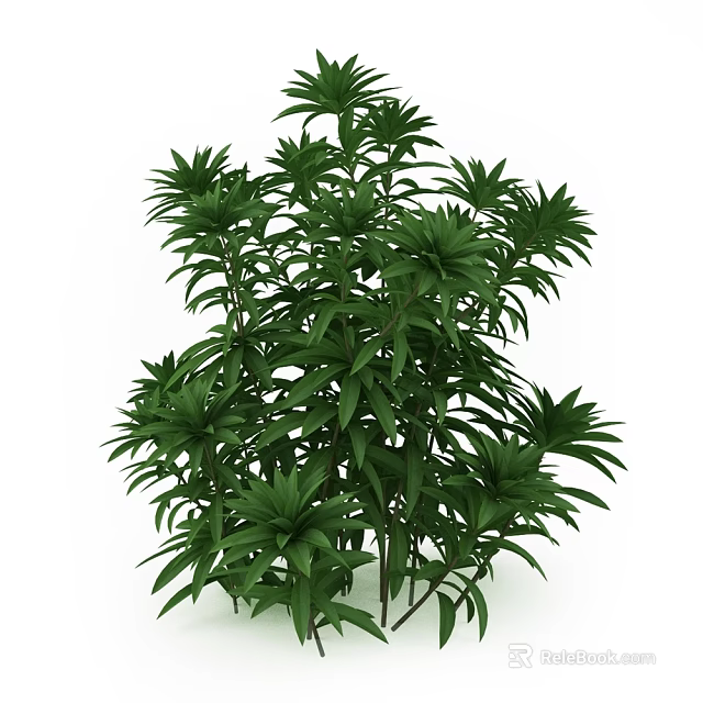 Lush Green Shrub With Dense Foliage For Garden Landscape Decoration 3d model 