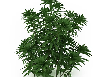 Lush Green Shrub With Dense Foliage For Garden Landscape Decoration 3d model
