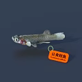Fish 3D Model 3d model