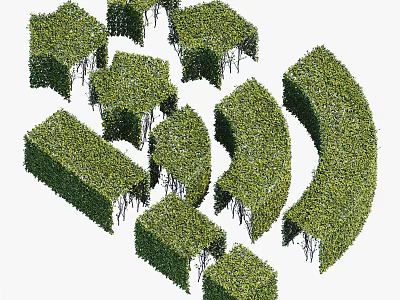 Artistically Trimmed Green Vines In Various Geometric Shapes For Garden Landscaping 3d model