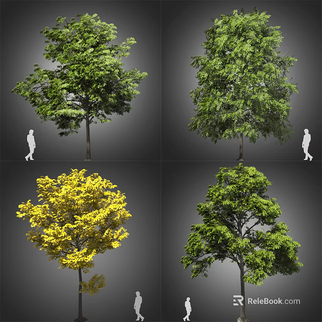 Various Deciduous Arbor Species Featuring Lush Green And Yellow Foliage With Human Figure For Size Reference 3d model 
