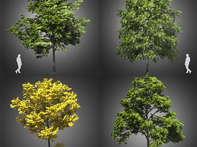 Various Deciduous Arbor Species Featuring Lush Green And Yellow Foliage With Human Figure For Size Reference 3d model