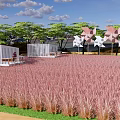 Scenic Park Landscape With Pink Grass White Windmills Green Trees And Romantic Pavilions