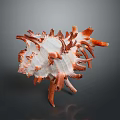 Red And White Spiky Conch Shell On Dark Reflective Background
