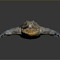 Crocodile Alligator Nile Crocodile carnivore reptile cold-blooded animal reptile reptile 3d model