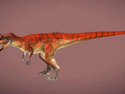 Realistic Red And Orange Dinosaur In Standing Pose With Detailed Skin Texture On Solid Background 3d model