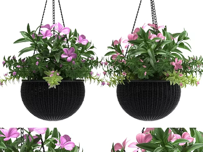 Hanging Basket Plants With Pink Flowers And Green Leaves In Wicker Planters 3d model