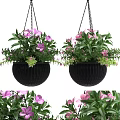Hanging Basket Plants With Pink Flowers And Green Leaves In Wicker Planters