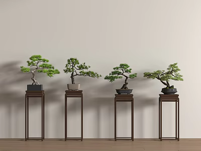 Four Bonsai Plants Displayed on Dark Wooden Stands Against Light Colored Wall with Wooden Floor 3d model