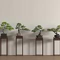 Four Bonsai Plants Displayed on Dark Wooden Stands Against Light Colored Wall with Wooden Floor