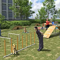Outdoor Park Playground With Green Grass Trees Slide Swings And Hoops