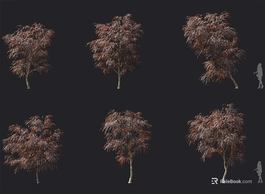 Ornamental Shrubs With Reddish Brown Leaves And Various Growth Forms For Landscaping 3d model 