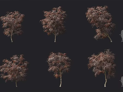 Ornamental Shrubs With Reddish Brown Leaves And Various Growth Forms For Landscaping 3d model