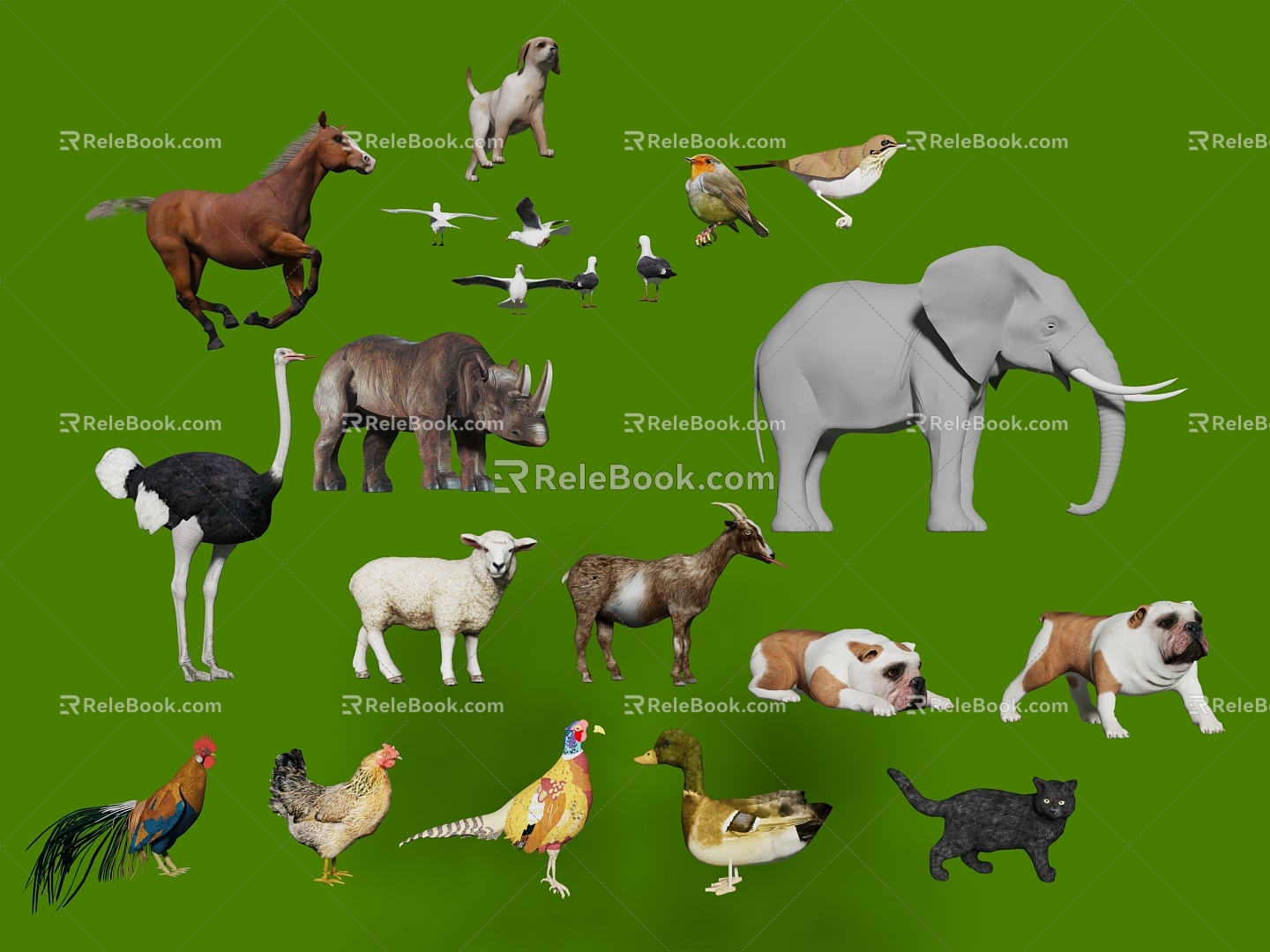 Animal Cattle Horse Pig Cat Dog Chicken Duck Goose Bird Elephant Big Bear Poultry Lion Sheep Rabbit 3d model