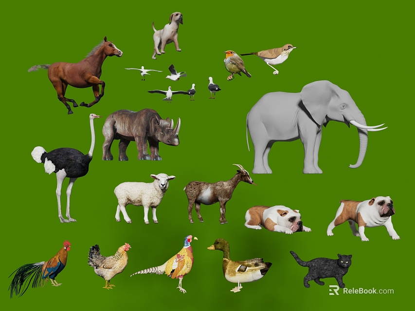 Reptile Species Like Lizards And Snakes Among Diverse Animal Collection 3d model 