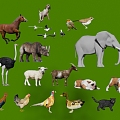 Animal Cattle Horse Pig Cat Dog Chicken Duck Goose Bird Elephant Big Bear Poultry Lion Sheep Rabbit 3d model