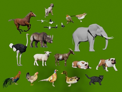 Animal Cattle Horse Pig Cat Dog Chicken Duck Goose Bird Elephant Big Bear Poultry Lion Sheep Rabbit 3d model