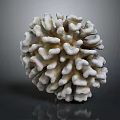 Tiny Marine Polyps Forming White Coral Colony Against Dark Background 3d model
