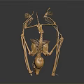 Detailed Golden Animal Skeleton Displaying Bone Organs And Skeletal Structure