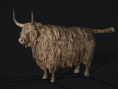 Long Haired Reptile With Horns And Shaggy Coat Standing In Profile View 3d model