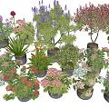 Colorful Potted Flowers and Plants with Various Blooms and Green Foliage