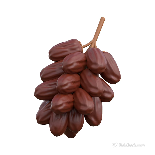 Fresh Ripe Dates Hanging On Natural Branch For Healthy Snacking 3d model 