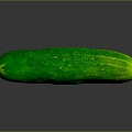 White Cucumber Water Cucumber Dry Cucumber Green Cucumber South China Cucumber European Greenhouse Cucumber Fruit Cucumber 3d model