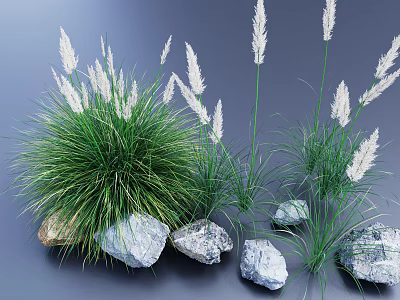 Green Grass With White Spikelets Growing Surrounded By Various Stones 3d model