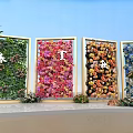 Seasonal Spring Summer Autumn Winter Flower Walls With Colorful Floral Decorations
