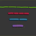 Different Colored Organ Structures Arranged in Layers with Hair Like Yellow Filaments at Bottom