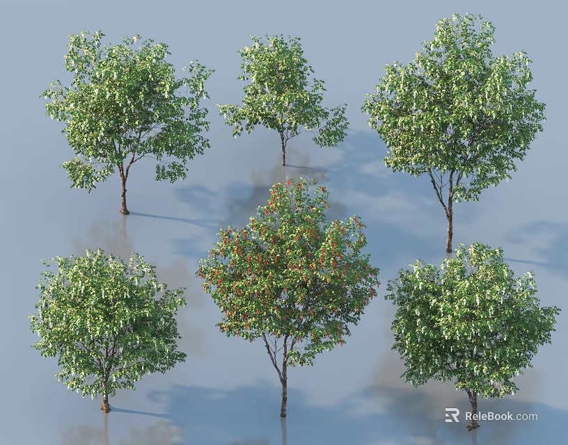 Various Arbor Tree Species with Green Foliage and Diverse Forms in 3d model 