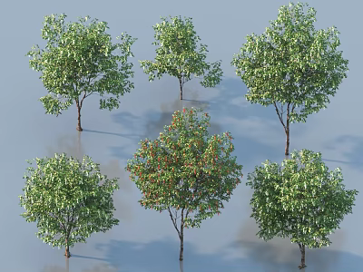 Various Arbor Tree Species with Green Foliage and Diverse Forms in 3d model