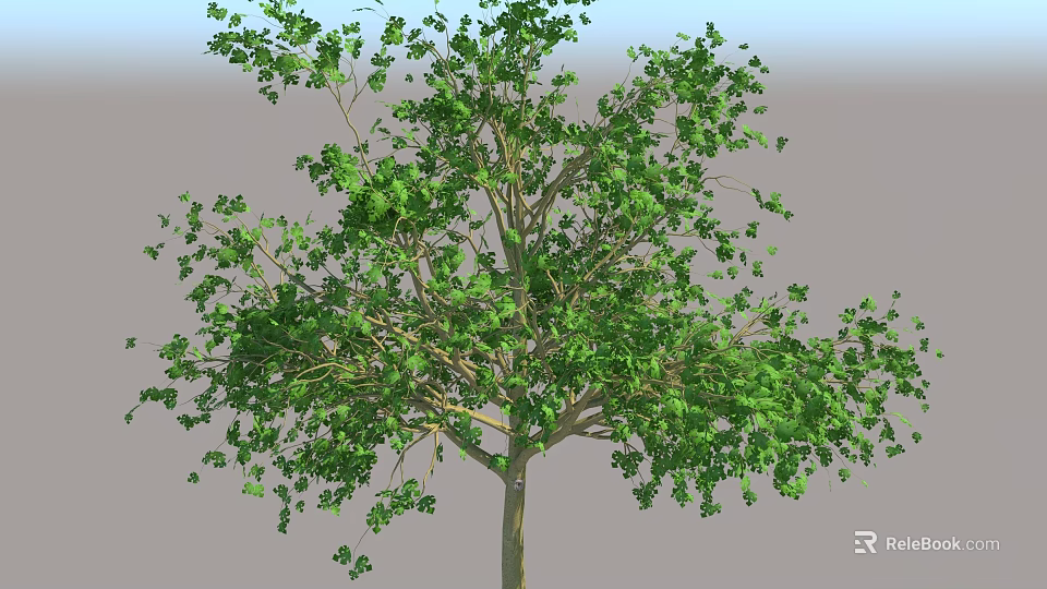 Lush Green Arbor With Dense Foliage Strong Trunk And Healthy Branches 3d model 