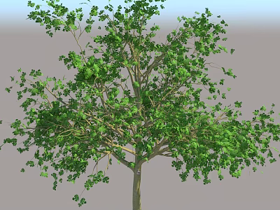 Lush Green Arbor With Dense Foliage Strong Trunk And Healthy Branches 3d model