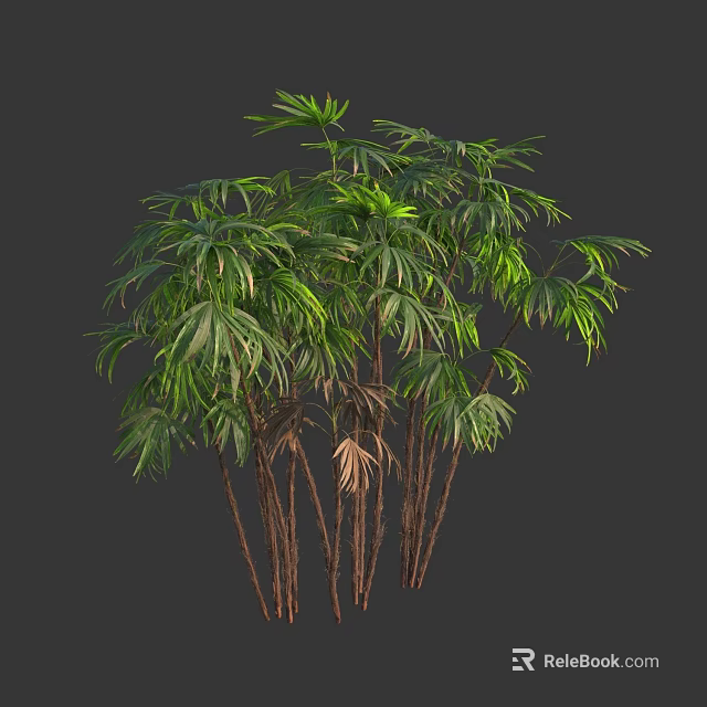 Clumping Bamboo Plants With Green Leaves And Brown Stems In Natural Growth 3d model 