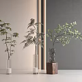 Indoor Aquatic Plants Arranged In Three Different Vases Against Gray Beige Walls And Light Floor